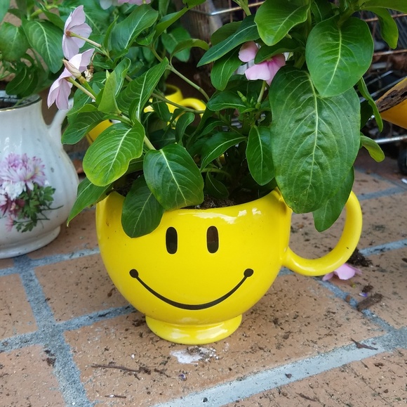 Meet your Posher, Sonja - Picture 1 of 1